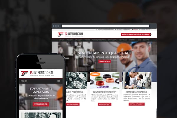 Ts international