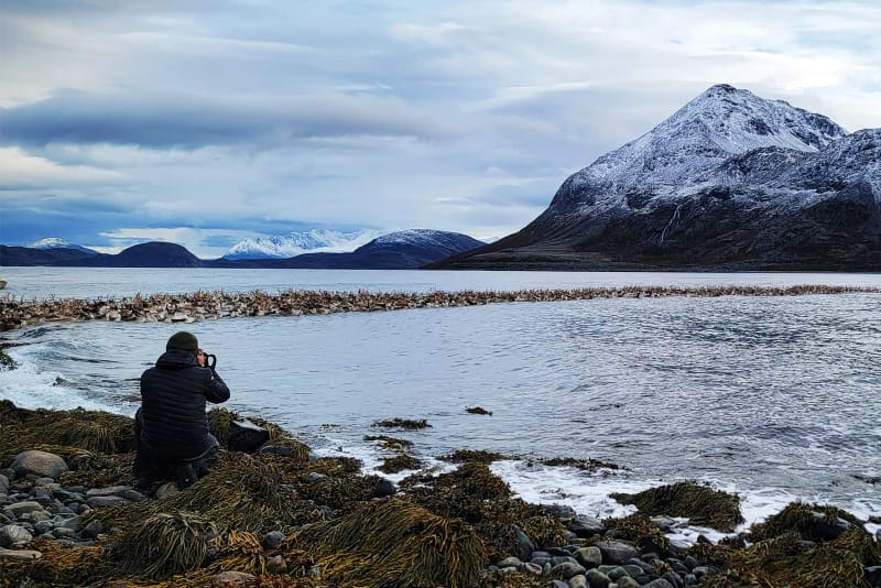 Alberto Ragnoli fotografa dalla riva la lunga fila di renne che attraversa il fiordo