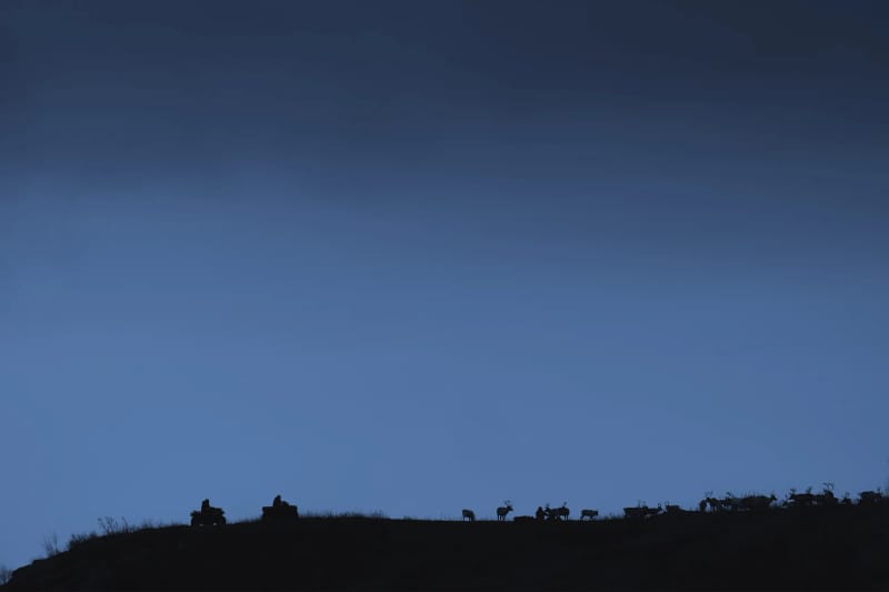Silhouette di allevatori sami in quad e renne sul crinale, contro il cielo blu